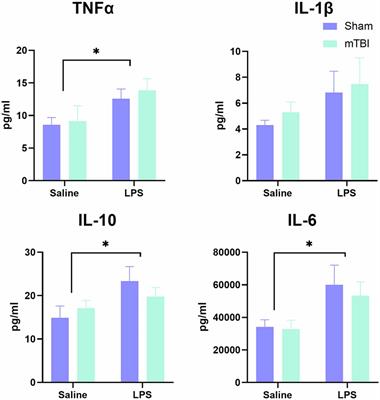 Effects of Remote Immune Activation on Performance in the 5-Choice Serial Reaction Time Task Following Mild Traumatic Brain Injury in Adolescence